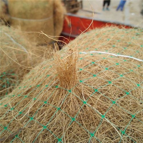 荒漠化防治與生態文明建設 可降解環保椰絲毯的生態應用與價值探索
